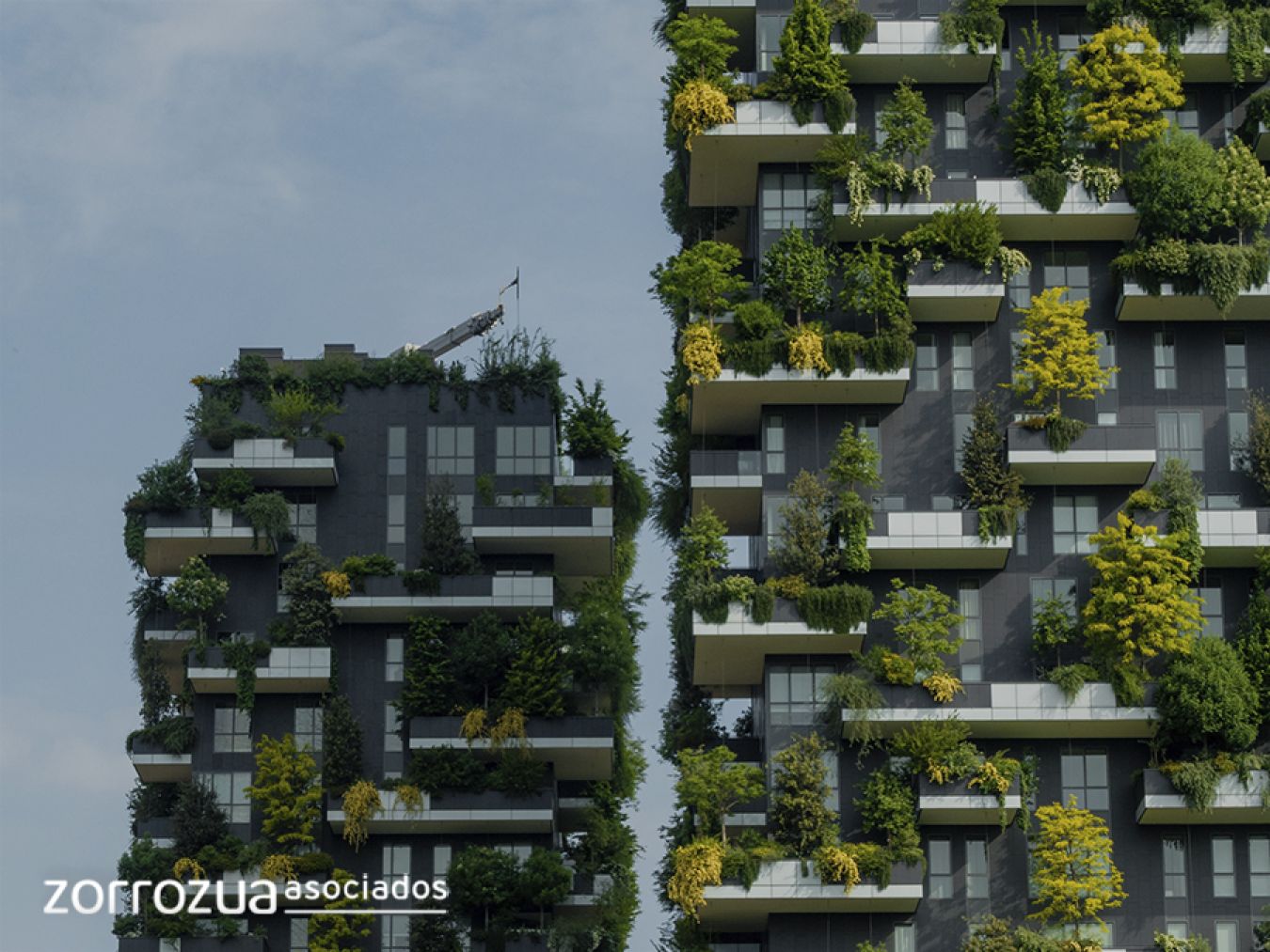 Desarrollo sostenible arquitectura